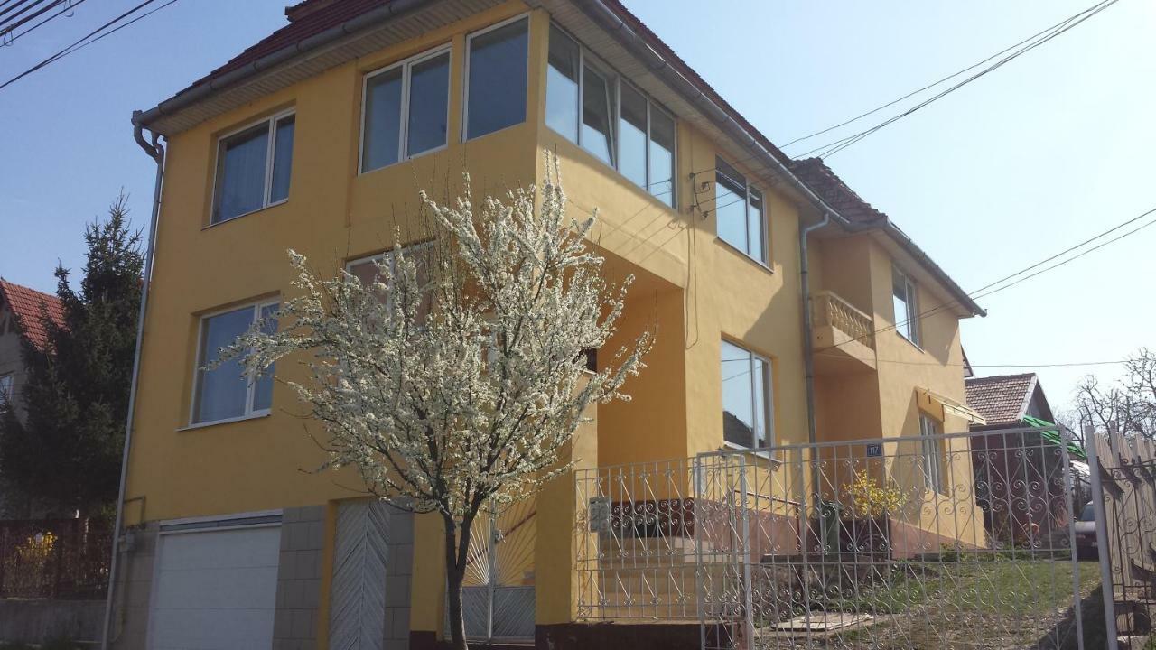 Отель Casa Salin Турда Экстерьер фото